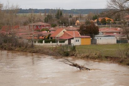 Inundaciones por la crecida del Duero en Tudela de Duero