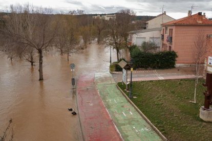 Inundaciones por la crecida del Duero en Tudela de Duero