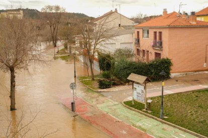 Inundaciones por la crecida del Duero en Tudela de Duero