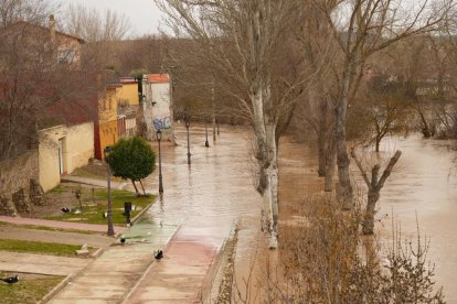 Inundaciones por la crecida del Duero en Tudela de Duero