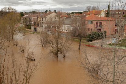 Inundaciones por la crecida del Duero en Tudela de Duero
