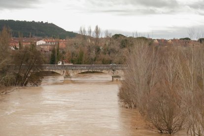 Inundaciones por la crecida del Duero en Tudela de Duero