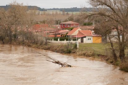 Inundaciones por la crecida del Duero en Tudela de Duero