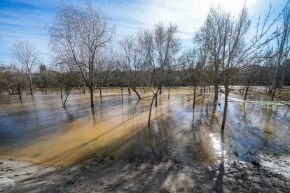 Calles afectadas por la crecida del río en Tudela de Duero.