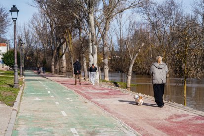 Calles afectadas por la crecida del río en Tudela de Duero.