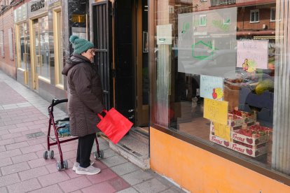 Una cliente delante del escaparate de La Casa Verde.