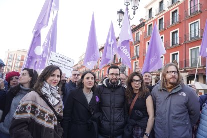 Manifestación en Valladolid por la Sanidad Pública.