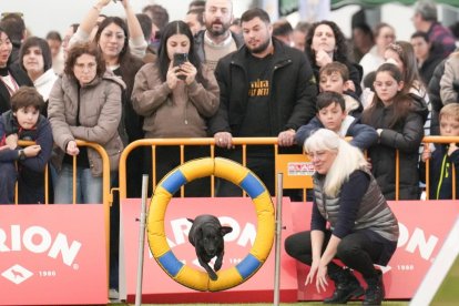 19 edición de Fimascota.