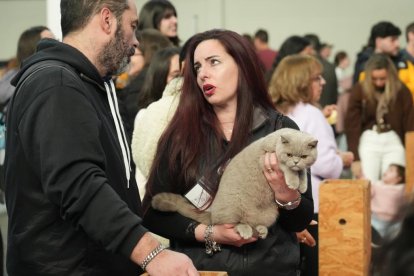 19 edición de Fimascota.