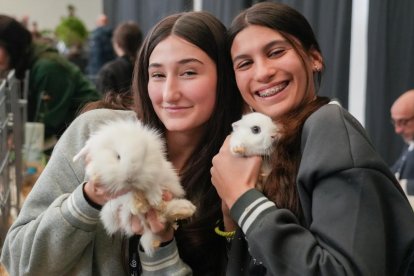 19 edición de Fimascota.