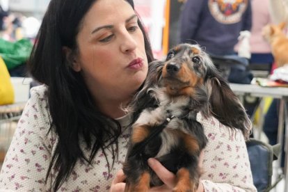 19 edición de Fimascota.