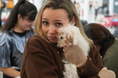 19 edición de Fimascota.