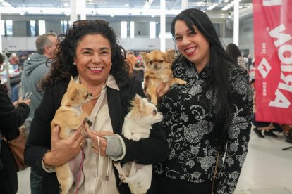 19 edición de Fimascota.