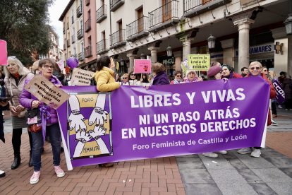 Manifestación por Día Internacional de la Mujer en Valladolid.