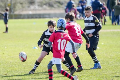 XI Torneo Internacional Escuelas del VRAC.