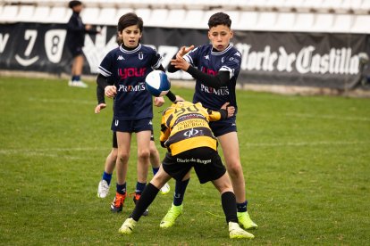 XI Torneo Internacional Escuelas del VRAC.
