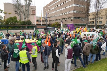 Manifestación de agricultores y ganaderos.
