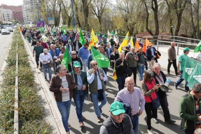 Manifestación de agricultores y ganaderos.