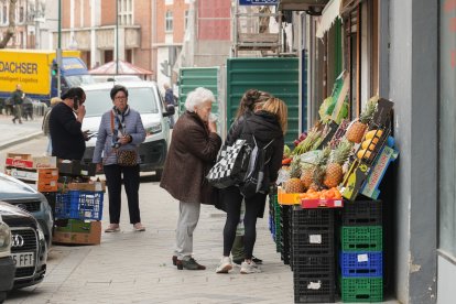Varios clientes observan la fruta de uno de los establecimientos de la calle Magallanes.