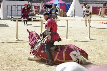 Espectáculo los 4 Reinos en la plaza de Toros