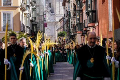 Procesión del Domingo de Ramos