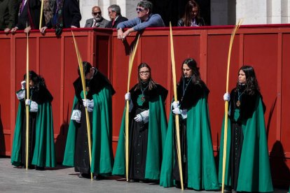 Procesión del Domingo de Ramos