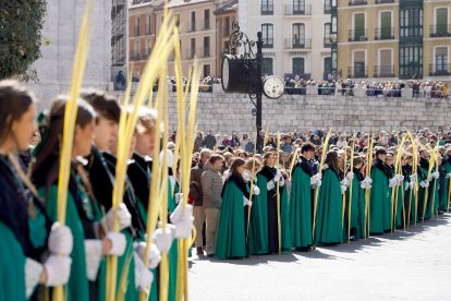 Procesión de Las Palmas de la Iglesia Penitencial de la Santa Vera Cruz