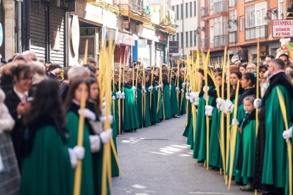 Procesión de Las Palmas de la Iglesia Penitencial de la Santa Vera Cruz