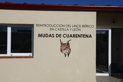 El lince pasa la cuarentena en Valladolid.