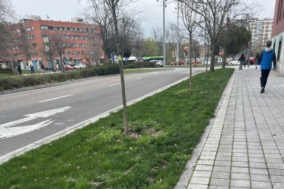 Antigua zona verde frente al hotel Marqués de la Ensenada