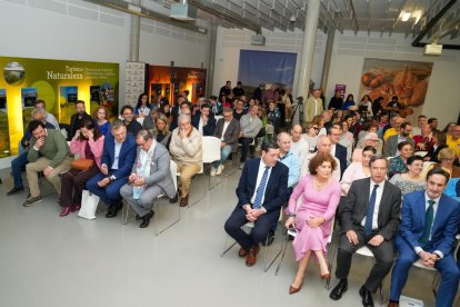Imágenes del 40 aniversario del BM Aula Valladolid celebrado en el Q-BO.