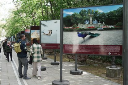 Exposición fotográfica ‘Parques Nacionales de España’ en Valladolid.