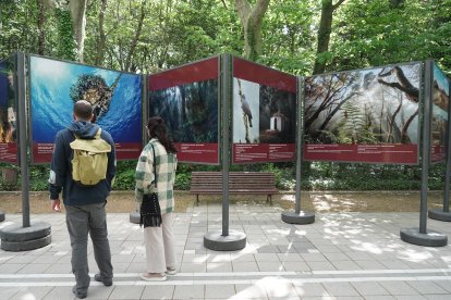 Exposición fotográfica ‘Parques Nacionales de España’ en Valladolid.