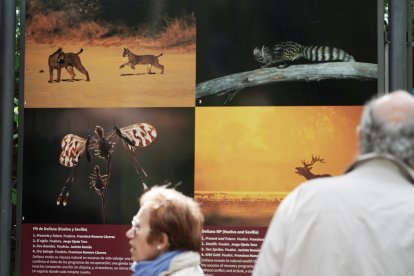 Exposición fotográfica ‘Parques Nacionales de España’ en Valladolid.