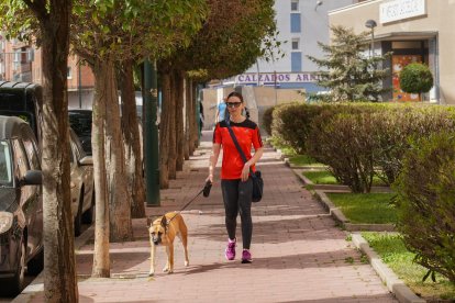 El Paseo de San Vicente en la actualidad.