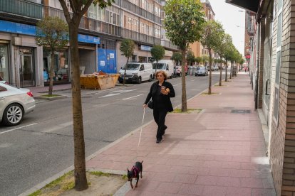 El Paseo de San Vicente en la actualidad.