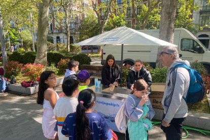 Día de la Educación Física en la Calle 2026.