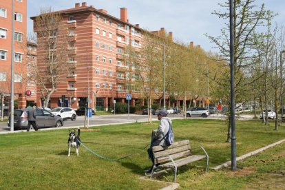 La calle de Valladolid con apellido de 'celebrity'