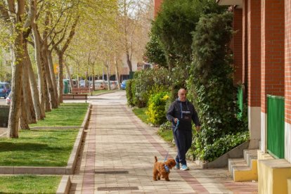 La calle de Valladolid con apellido de 'celebrity'