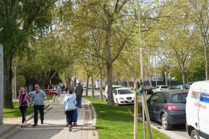 La calle de Valladolid con apellido de 'celebrity'