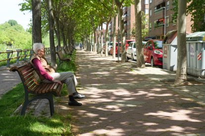 La calle que robó el agua al alcalde