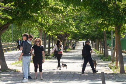 La calle que robó el agua al alcalde