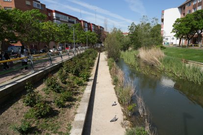 La calle que robó el agua al alcalde