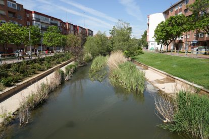 La calle que robó el agua al alcalde