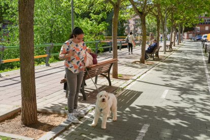 La calle que robó el agua al alcalde