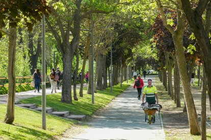 La calle que robó el agua al alcalde