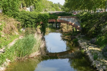 La calle que robó el agua al alcalde