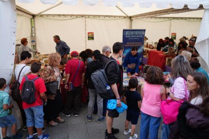 Puestos de la Feria del Coleccionismo