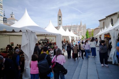 Puestos de la Feria del Coleccionismo