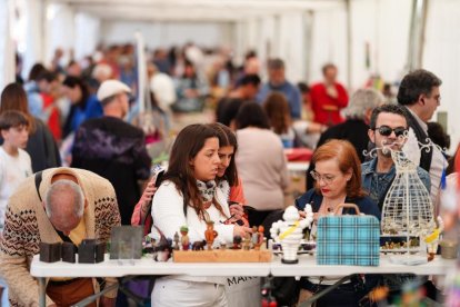 Puestos de la Feria del Coleccionismo